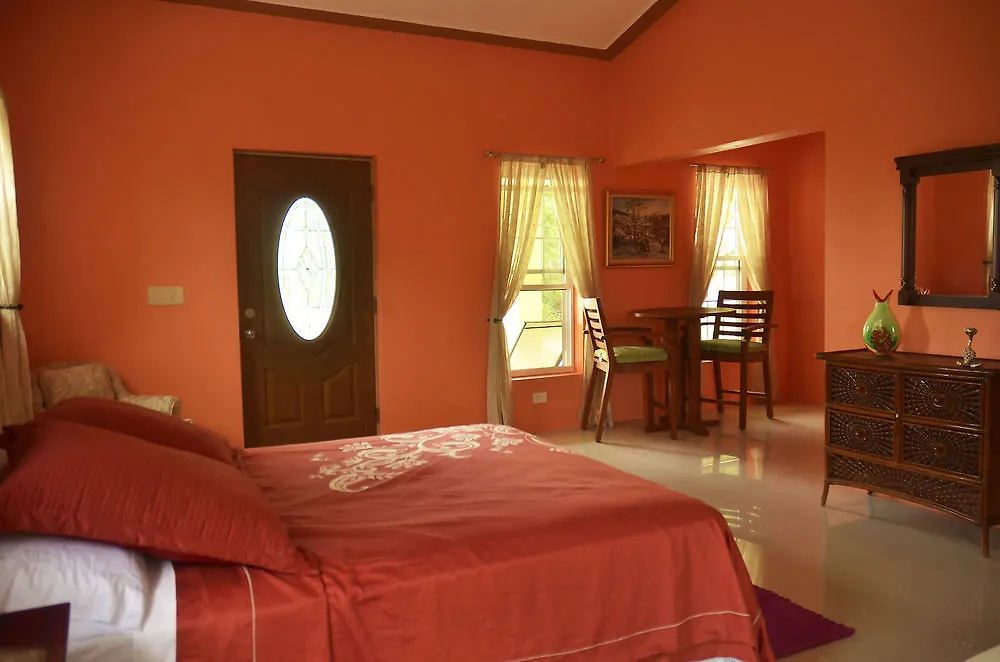 L Anse A L'Eau Beach House Cacor 아이티